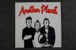 画像1: THE FERRETS  / ANOTHER PLANET  CD (1)