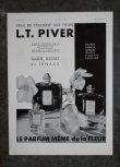 画像3: FRANCE antique ART PAPER  フランスアンティーク [St Raphael Quinquina]サン・ラファエル ヴィンテージ 広告 ポスター 1932's