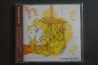 画像2: hometwn 2 /福井コンピレーション　CD (2)