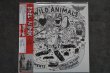 画像1: WILD ANIMALS / BASEMENTS: MUSIC TO FIGHT HYPOCRISY   CD (1)