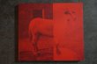 画像1: THE PRICEDUIFKES / GOATHORSE  CD (1)