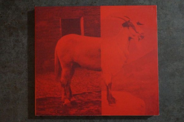 画像1: THE PRICEDUIFKES / GOATHORSE  CD (1)