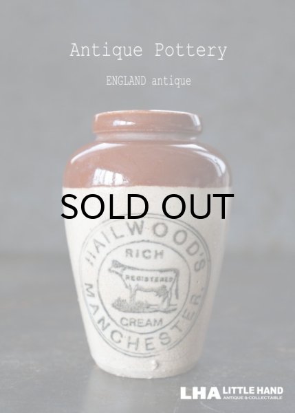 画像1: ENGLAND antique イギリスアンティーク COW ツートンカラー HAILWOOD'S （Mサイズ） H9.2ｃｍ 陶器ポット 陶器ボトル 瓶 ジャー 1900's (1)