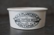 画像2: ENGLAND antique G.W.PLUMTREE H3.8cm イギリスアンティーク 陶器 ミートポット ミートペーストジャー 1900-20's (2)