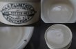 画像5: ENGLAND antique G.W.PLUMTREE H3.8cm イギリスアンティーク 陶器 ミートポット ミートペーストジャー 1900-20's