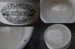 画像5: ENGLAND antique G.W.PLUMTREE H3.8cm イギリスアンティーク 陶器 ミートポット ミートペーストジャー 1900-20's (5)
