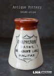 画像1: 【RARE】ENGLAND antique イギリスアンティーク ツートンカラー SHEPHERD’S DAIRY HALIFAX （Mサイズ）陶器ポット 1900's