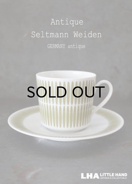 画像1: GERMANY antique Seltmann Weiden Bavaria ドイツアンティーク ゼルトマン・ヴァイデン カップ＆ソーサー C&S 1970-80's ヴィンテージ  (1)