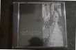 画像1: SPRINGHILL / ...you saw me laugh,you saw me cry... CD (1)