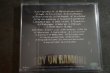 画像2: FAST FOOD / Soy Un Ramone 　CD (2)