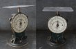 画像3: ENGLAND antique イギリスアンティーク SALTER POSTAL SCALE ポスタルスケール no.25 はかり 1920's  (3)
