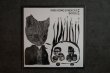 画像1: KING KONG SYNDICATE & BOODLE / STUPIDS?　SPLIT CD (1)