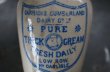 画像6: ENGLAND antique イギリスアンティーク CARRICKS CUMBERLAND ブルーロゴ クリーム 陶器ポット 陶器ボトル 1900's (6)