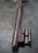 画像4: FRANCE antique KEY フランスアンティークキー 大きな鍵 H10.5cm 1890-1920's (4)