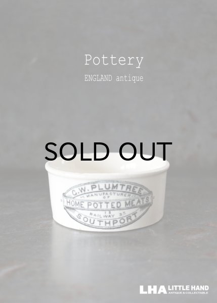 画像1: ENGLAND antique G.W.PLUMTREE H3.8cm イギリスアンティーク 陶器 ミートポット ミートペーストジャー 1900-20's (1)
