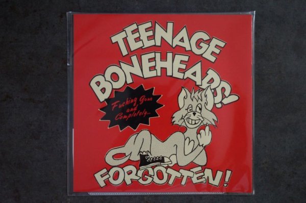 画像1: TEENAGE BONEHEADS! Fucking gone and completely...Forgotten! (I HATE SMOKE盤)   CD (1)