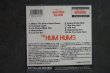 画像2: THE HUM HUM'S  /  BACK TO FRONT  CD  (2)