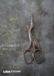 画像1: FRANCE antique Scissors フランスアンティーク コウノトリ糸切ハサミ ミニハサミ ヴィンテージ 1930-40's (1)