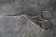 画像3: FRANCE antique Scissors フランスアンティーク コウノトリ糸切ハサミ ミニハサミ ヴィンテージ 1930-40's (3)