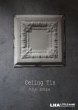 画像1: USA antique CEILING TIN シーリングティンパネル ティンパネル  1860-1940's (1)