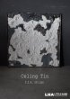 画像1: USA antique CEILING TIN シーリングティンパネル ティンパネル  1860-1940's (1)