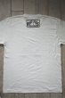 画像3: STUPID PLOTS T-shirts 2021 フロント WT (3)