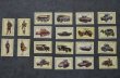 画像2: AUSTRIA antique MATCHBOX LABELS 20pcs オーストリアアンティーク マッチボックスラベル 20枚SET デッドストック未使用品 ヴィンテージ 1970-80's