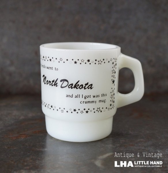 画像1: U.S.A. vintage Fire-king Mug North Dakota アメリカヴィンテージ ファイヤーキング ノースダコタ  マグ マグカップ 1977-86's (1)