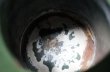 画像5: ENGLAND antique Enamel Jug イギリスアンティーク ホーロー ジャグ ピッチャー フレンチ ホウロウ 1920-30's (5)