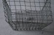 画像6: U.S.A. antique Wire Basket アメリカアンティーク ナンバータグ付き ワイヤーバスケット ワイド型 ヴィンテージ 1950-70's  (6)