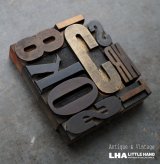 画像: U.S.A. antique Letterpress 10cs アメリカアンティーク 木製プリンターブロック 10個セット H8.5cm〜H3.4cm  ヴィンテージ スタンプ ビンテージ はんこ 1900-60's 