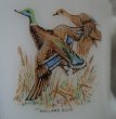画像9: U.S.A. vintage Fire-king Mug MALLARD DUCK アメリカヴィンテージ ファイヤーキング バード マグ マグカップ 1950's (9)