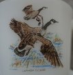画像14: U.S.A. vintage Fire-king Mug CANADA GOOSE アメリカヴィンテージ ファイヤーキング バード マグ マグカップ 1950's (14)