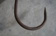 画像3: FRANCE antique IRON HOOK フランスアンティーク アイアンフック 鉄 S字フック ビンテージ インダストリアル ヴィンテージ 1890-1920's (3)