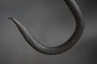 画像3: FRANCE antique IRON HOOK フランスアンティーク アイアンフック 鉄 S字フック ビンテージ インダストリアル ヴィンテージ 1890-1920's (3)