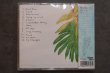 画像2: THE STEADYS / Rivers   CD  (2)
