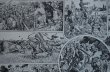 画像5: FRANCE antique ART PAPER  フランスアンティーク 辞書・図鑑の1ページ ［狩猟］ 描画 アンティークアート 1900's (5)