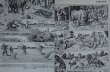 画像3: FRANCE antique ART PAPER  フランスアンティーク 辞書・図鑑の1ページ ［狩猟］ 描画 アンティークアート 1900's (3)