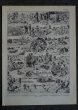 画像1: FRANCE antique ART PAPER  フランスアンティーク 辞書・図鑑の1ページ ［狩猟］ 描画 アンティークアート 1900's (1)