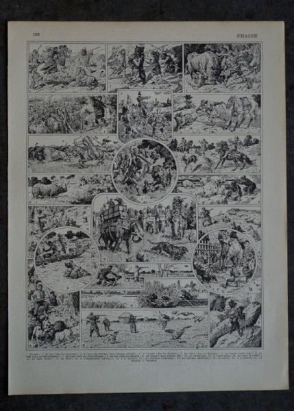 画像1: FRANCE antique ART PAPER  フランスアンティーク 辞書・図鑑の1ページ ［狩猟］ 描画 アンティークアート 1900's (1)