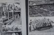 画像5: FRANCE antique ART PAPER  フランスアンティーク 辞書・図鑑の1ページ ［食肉処理場］ 描画 アンティークアート 1900's (5)