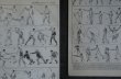 画像5: FRANCE antique ART PAPER  フランスアンティーク 辞書・図鑑の1ページ ［杖］ 描画 アンティークアート 1900's (5)