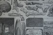 画像4: FRANCE antique ART PAPER  フランスアンティーク 辞書・図鑑の1ページ ［先史時代］ 描画 アンティークアート 1900's (4)