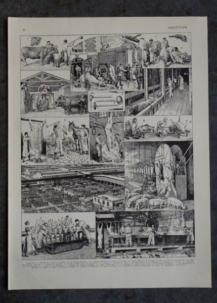 画像1: FRANCE antique ART PAPER  フランスアンティーク 辞書・図鑑の1ページ ［食肉処理場］ 描画 アンティークアート 1900's (1)
