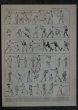 画像1: FRANCE antique ART PAPER  フランスアンティーク 辞書・図鑑の1ページ ［杖］ 描画 アンティークアート 1900's (1)