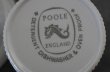 画像10: ENGLAND antique POOLE POTTERY C&S イギリスアンティーク プールポタリー  カップ＆ソーサー  ヴィンテージ 1950's (10)