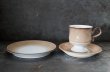 画像2: ENGLAND antique DENBY SEVILLE TRIO イギリスアンティーク デンビー セビリア トリオ カップ＆ソーサー&ケーキプレート ヴィンテージ 1975-80's (2)