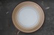 画像10: ENGLAND antique DENBY SEVILLE TRIO イギリスアンティーク デンビー セビリア トリオ カップ＆ソーサー&ケーキプレート ヴィンテージ 1975-80's (10)