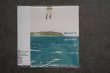 画像1: WHAT GOES UP / LAWS OF GRAVITY    CD  (1)