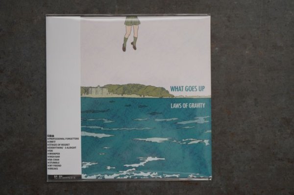 画像1: WHAT GOES UP / LAWS OF GRAVITY    CD  (1)